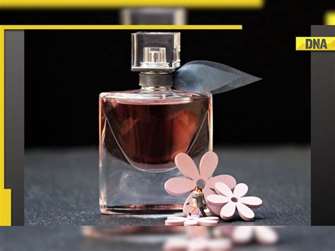 urine in fake perfume|can perfumes be bad.